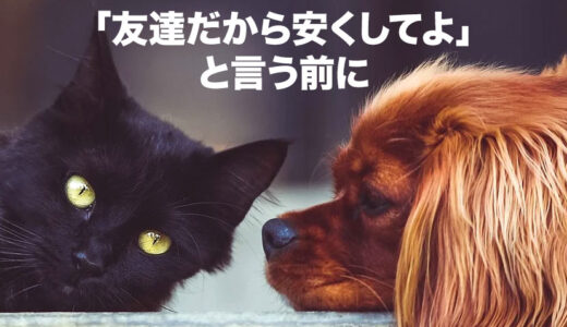 「友達価格にしてよ」って交渉する人は、自分の価値を下げている